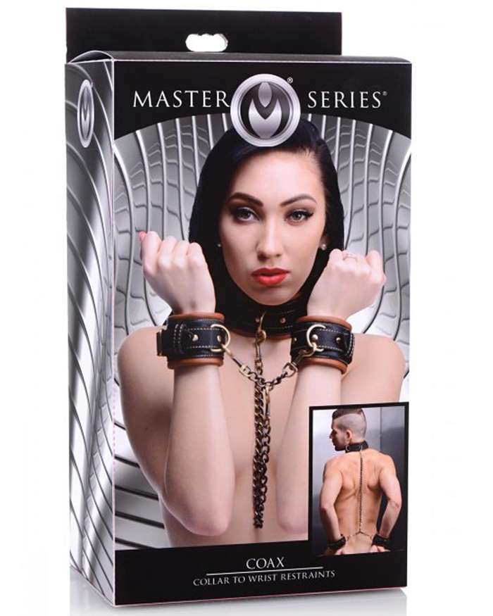 Master Series Coax Collar to Wrist Restraints
