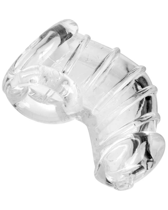 Master Series Detained Soft Body Chastity Cock Cage