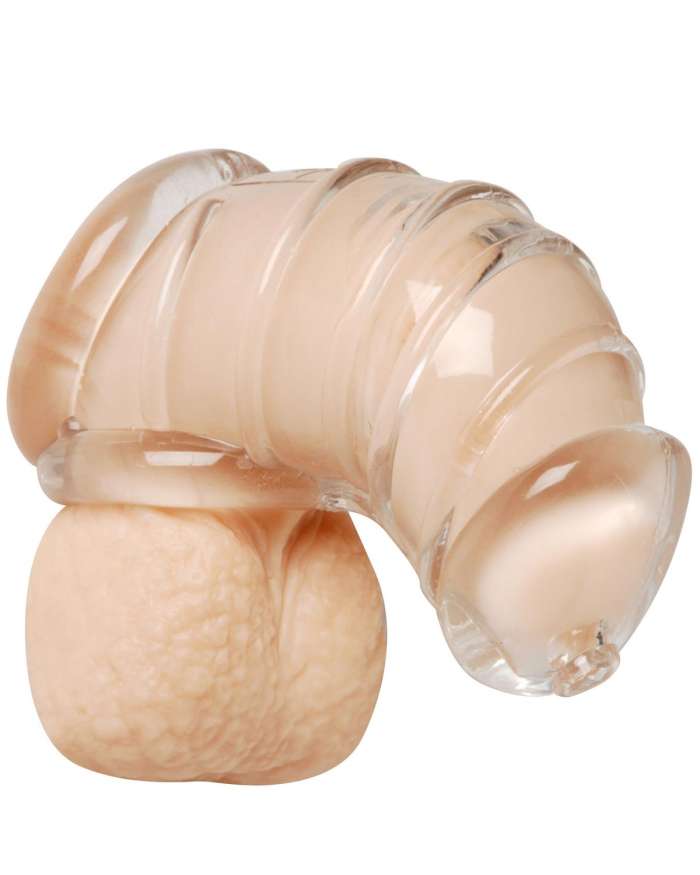 Master Series Detained Soft Body Chastity Cock Cage