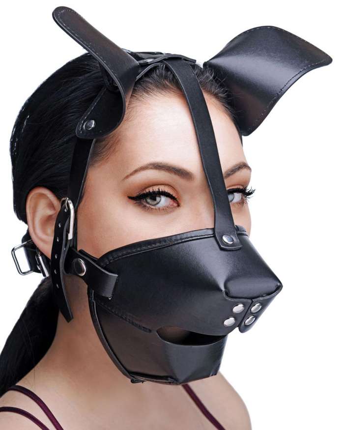 Master Series Pup Puppy Play Breathable Ball Gag Hood