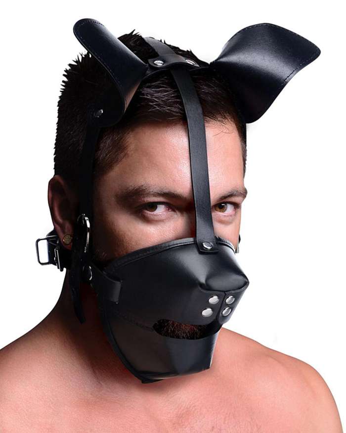 Master Series Pup Puppy Play Breathable Ball Gag Hood