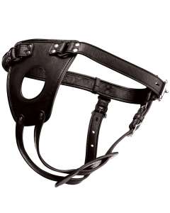 Master Series Ass Holster Anal Plug Harness