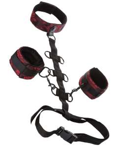 Scandal Collar Body Restraint