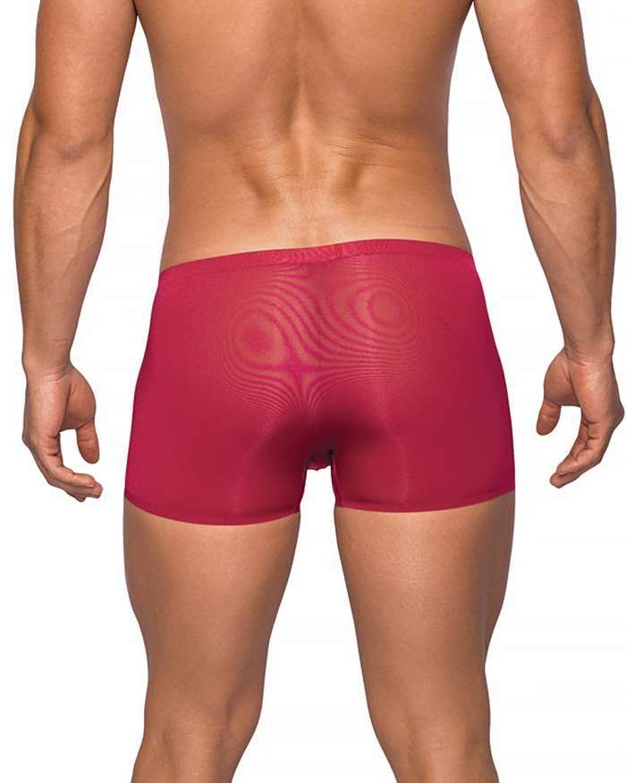 Male Power Seamless Sleek Sheer Pouch Mini Short