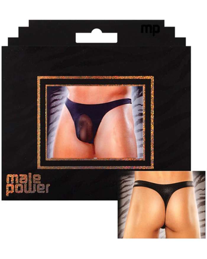 Male Power Sheer Nylon Lycra Pouch Male Thong