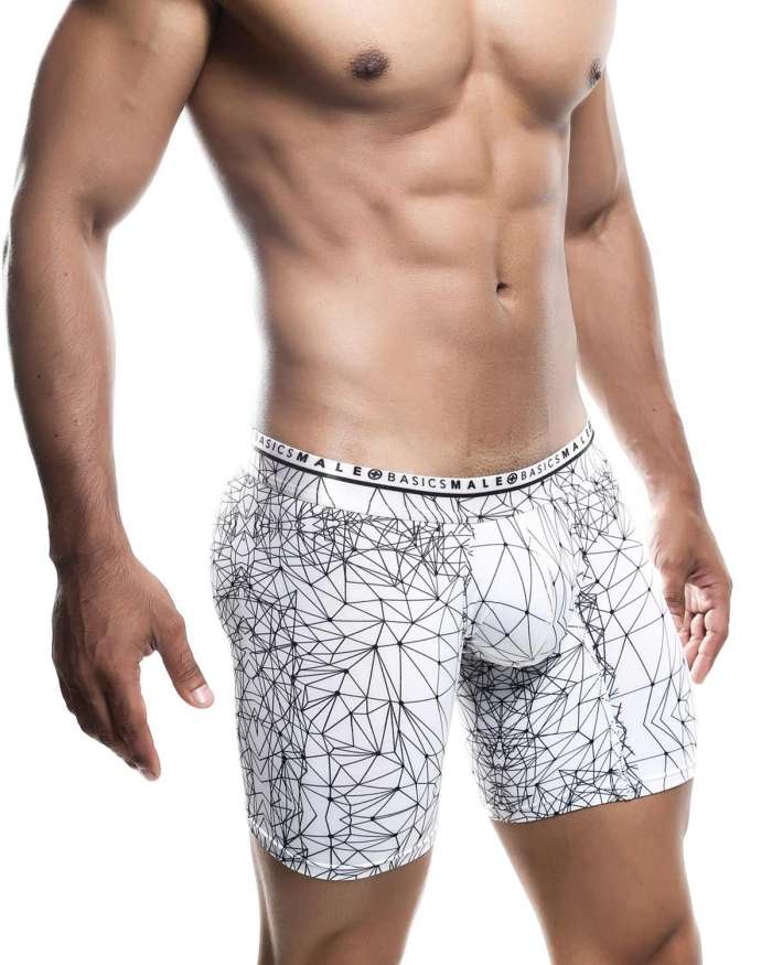 MaleBasics Hipster Boxer Brief Spider