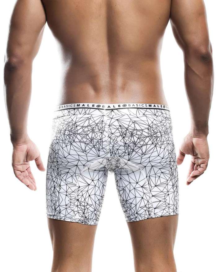 MaleBasics Hipster Boxer Brief Spider